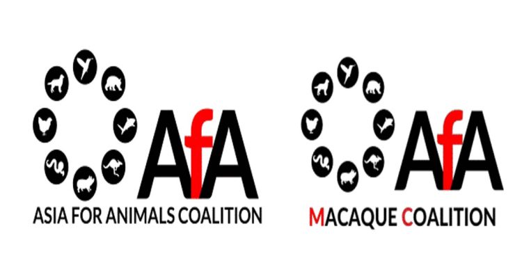 STATEMENT on the proposed export of toque macaques from Sri Lanka to China
