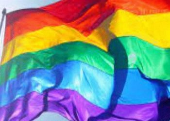 The Supreme Court has cleared the way for Parliament to decriminalise same-sex marriage with a simple majority in the House.