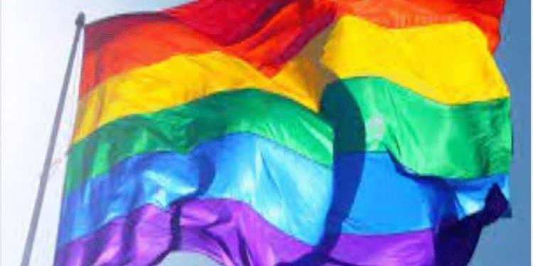 The Supreme Court has cleared the way for Parliament to decriminalise same-sex marriage with a simple majority in the House.