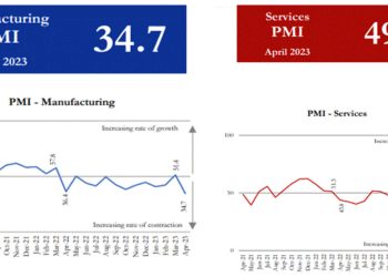 Manufacturing and services in Sri Lanka decline in April 2023: PMI