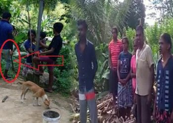 Thugs destroy Tamil plantain crops in the South I Sri Lanka Latest News