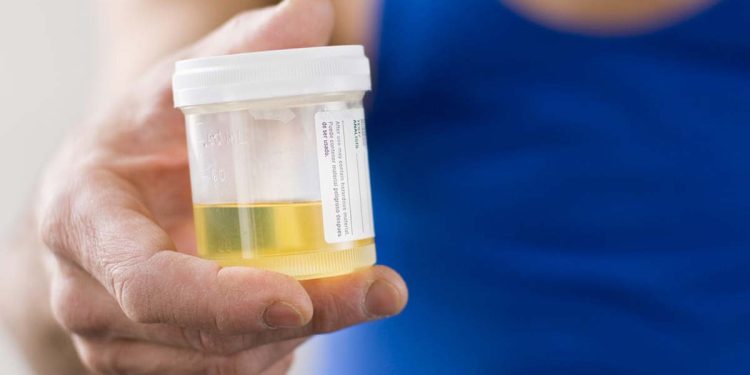 From today, police will conduct urine tests to determine drunken driving I Sri Lanka Latest News
