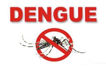 Dengue control programs implemented continuously throughout the country