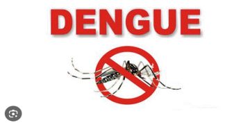Dengue control programs implemented continuously throughout the country