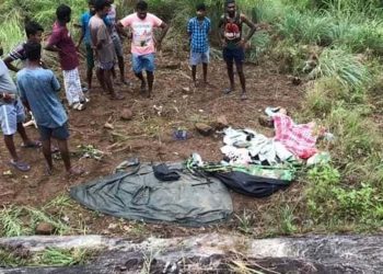 An elephant attacked a couple who were ‘camping’ on Diyaluma in Koslanda! Girlfriend died! The lover  hurt!