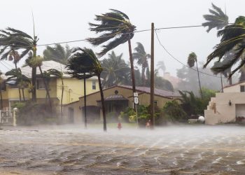 Meteorology departmet issues cylone warning