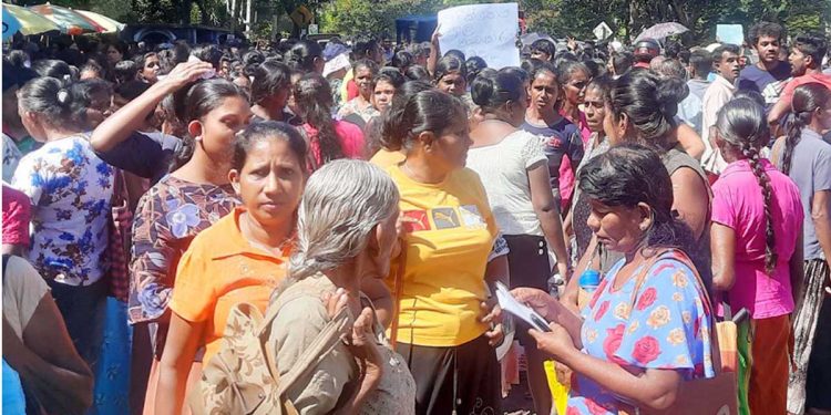 ‘Aswasuma’ creates havoc! People chase pohottuwa MP I Sri Lanka Latest News