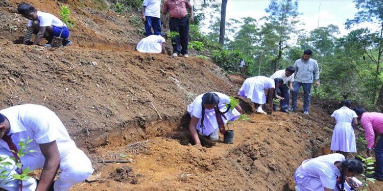 Bogawantalawa Tea Estates PLC celebrates World Environment Day 2023  I Sri Lanka Latest Business News