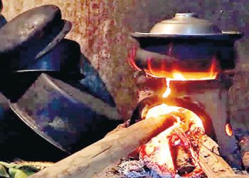 70% of the country’s population still cooks with firewood, and one million tonnes of firewood are used in the country each year – A research finding – I Sri Lanka Latest News