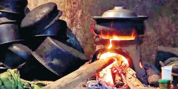 70% of the country’s population still cooks with firewood, and one million tonnes of firewood are used in the country each year – A research finding – I Sri Lanka Latest News