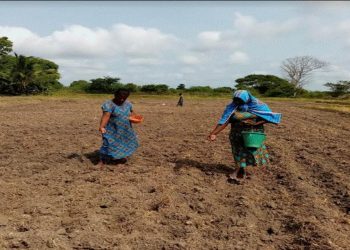 Her land, her rights  I Sri Lanka Latest News