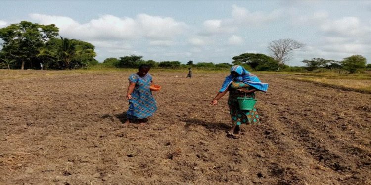 Her land, her rights  I Sri Lanka Latest News