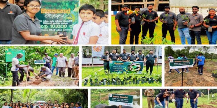 Siyapatha Finance introduces “Siyapathen Mihikathata”, a Corporate Social Responsibility (CSR) initiative that centres’ around Sustainable Financing I Sri Lanka Latest Business News