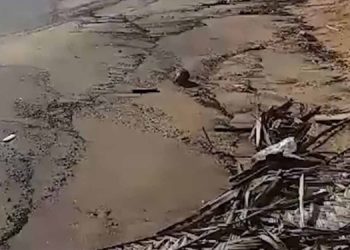 Puttalam beach has become polluted due to waste accumulation I Sri Lanka Latest News