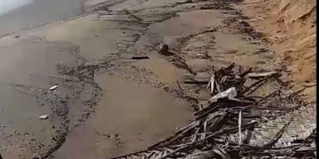 Puttalam beach has become polluted due to waste accumulation I Sri Lanka Latest News