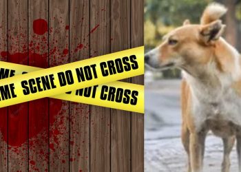 On the 27th, a woman in Mullative was hacked to death, and her body was found by the house’s pet dog  I Sri Lanka Latest News