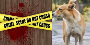 On the 27th, a woman in Mullative was hacked to death, and her body was found by the house’s pet dog  I Sri Lanka Latest News