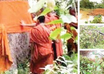 Gampaha Magistrate orders the exhumation of the buried  Crudia Zeylanica plant and the immediate provision of security to the alleged burial site I Sri Lanka Latest