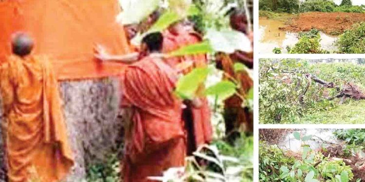 Gampaha Magistrate orders the exhumation of the buried  Crudia Zeylanica plant and the immediate provision of security to the alleged burial site I Sri Lanka Latest