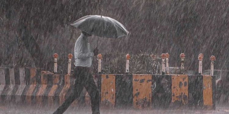 Prevailing showery condition over the south western parts of the island is expected to continue I Sri Lanka Latest News