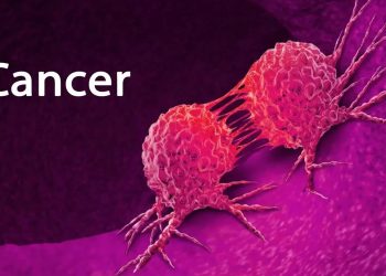 Cancer has become the second leading cause of death from non-communicable diseases in Sri Lanka- Report  I Sri Lanka Latest News