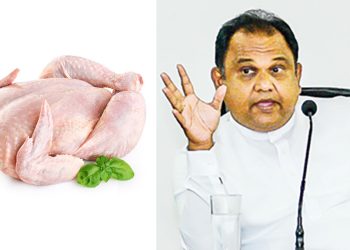 Chicken meat imports on the cards I Sri Lanka Latest News
