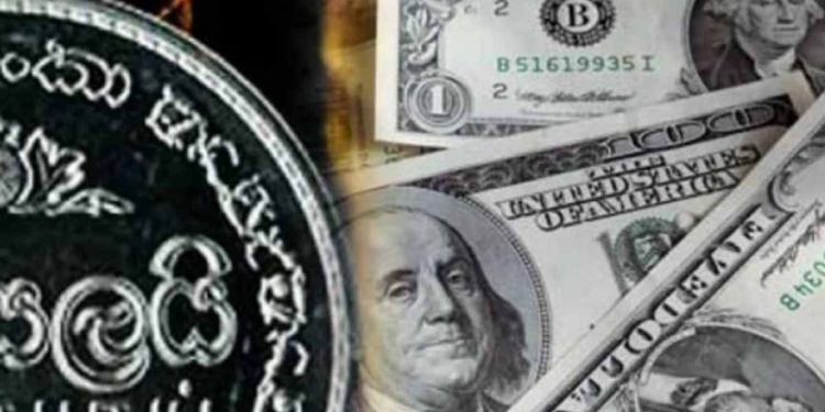 Dollar peaks up to Rs 330 today! I Sri Lanka Latest News