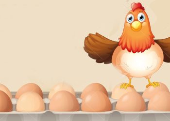 Indian eggs are now available for Rs 35 starting today  I Sri Lanka Latest News