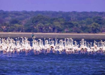 Nandikadal develops into a beach tourist destination I Sri Lanka Latest News
