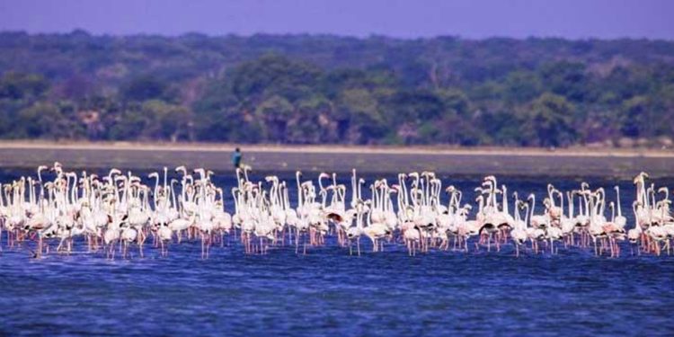 Nandikadal develops into a beach tourist destination I Sri Lanka Latest News