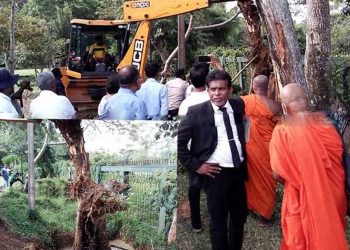 Gampaha magistrate directed to re-plant and preserve the ‘Crudia zeylanica’ tree in Henerathgoda botanical garden  I Sri Lanka Latest News