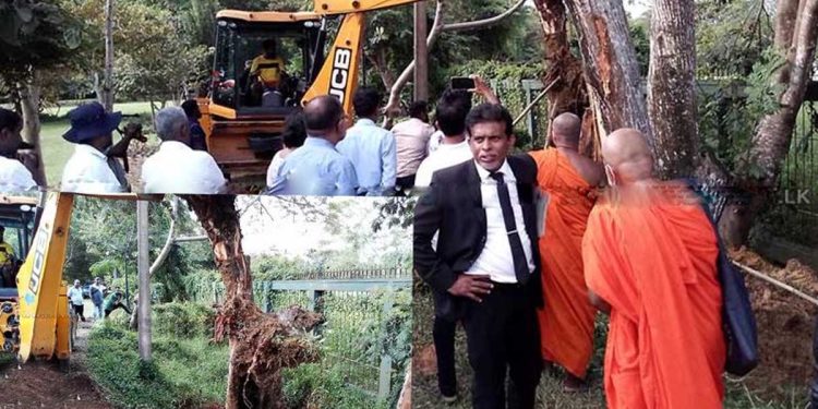 Gampaha magistrate directed to re-plant and preserve the ‘Crudia zeylanica’ tree in Henerathgoda botanical garden  I Sri Lanka Latest News
