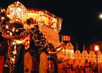 Government pays the electricity bill of Kandy Perahara! I Sri Lanka Latest News