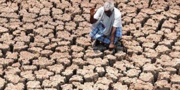 Gravity of the drought illustrates from pawning places I Sri Lanka Latest News