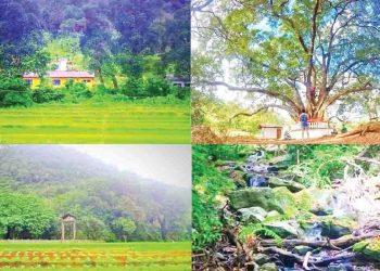 ‘Gala Muduna’ a village in the Jungle!  I Sri Lanka Latest News     