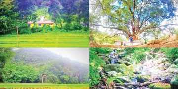 ‘Gala Muduna’ a village in the Jungle!  I Sri Lanka Latest News     