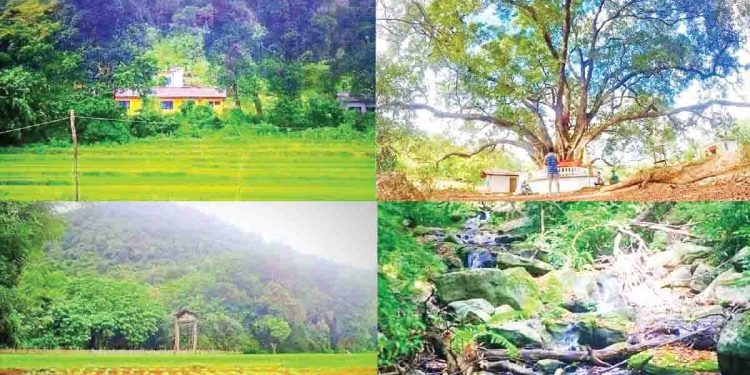 ‘Gala Muduna’ a village in the Jungle!  I Sri Lanka Latest News     