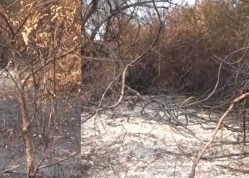 Environmentalists accuse land thieves destroy environment Zones! –VIDEO I Sri Lanka Latest News