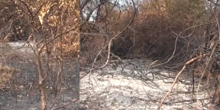 Environmentalists accuse land thieves destroy environment Zones! –VIDEO I Sri Lanka Latest News