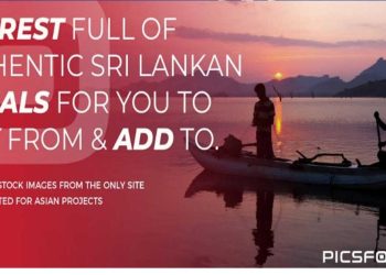 SLT-MOBITEL unveils first ever Sri Lankan digital platform ‘picsforest.com’ to transact images displaying photographic talent