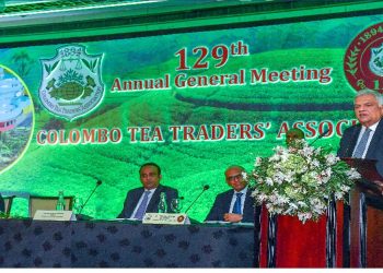 A new program is essential to propel the plantation industry forward, encompassing the tea sector