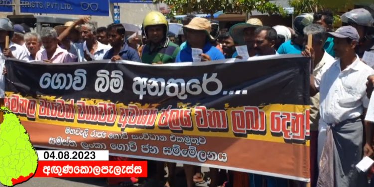 Farmers take to the streets demanding  water to cultivate! Protests in front of the house of the Minister of Agriculture! VIDEO  I Sri Lanka Latest News