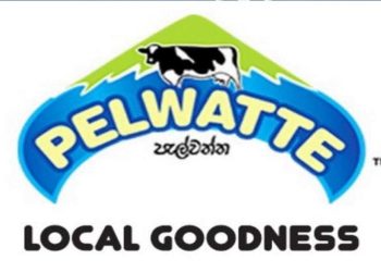 Pelwatte Dairy embarks on training program to build farmer capacities I Sri Lanka Latest Business News