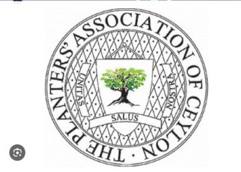 The Planters’ Association of Ceylon decry verbal abuse by Minister Jeevan Thondaman on Ratwatte estate management I Sri Lanka Latest News