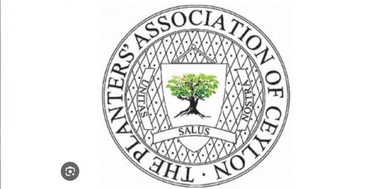 The Planters’ Association of Ceylon decry verbal abuse by Minister Jeevan Thondaman on Ratwatte estate management  I Sri Lanka Latest News