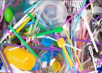 Many plastic items will be banned in coming weeks  I Sri Lanka Latest Business News