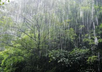 ‘Kelani’ River catchment areas receive heavy rain ! Sri Lanka Latest News