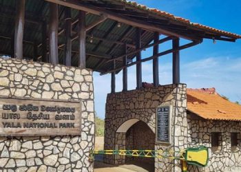 Udawalawa and Yala Parks to be closed due to severe drought! Sri Lanka Latest News
