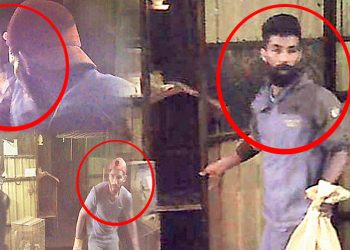 Aththidiya Wildlife Office seeking public support to nab the thieves who robbed four rare black monkey cubs I Sri Lanka Latest News