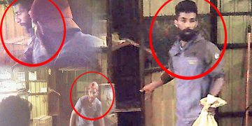 Aththidiya Wildlife Office seeking public support to nab the thieves who robbed four rare black monkey cubs I Sri Lanka Latest News